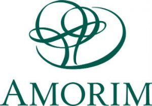 Logo Amorin